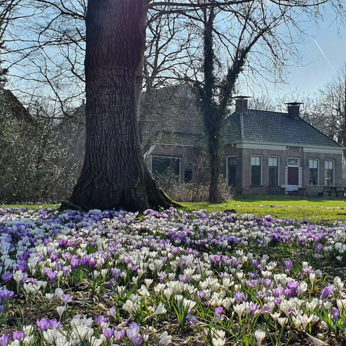 Boerderij ‘t Börgbloemke in Groningen