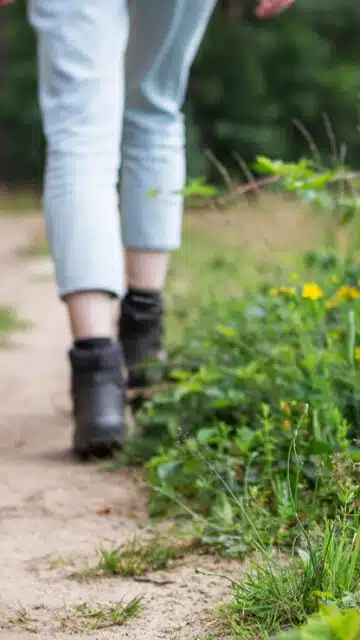 Wandelen in de natuur